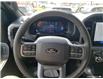 2025 Ford F-150 XLT (Stk: 250176) in Hamilton - Image 12 of 23