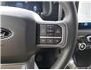 2025 Ford F-150 XLT (Stk: 250176) in Hamilton - Image 14 of 23