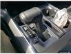 2025 Ford F-150 XLT (Stk: 250176) in Hamilton - Image 18 of 23