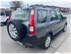 2006 Honda CR-V SE (Stk: H810539) in Scarborough - Image 6 of 20