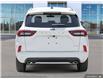 2025 Ford Escape ST-Line Elite (Stk: S-218) in Calgary - Image 5 of 19