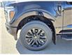 2025 Ford F-150 Lariat (Stk: S69937) in Hague - Image 10 of 15