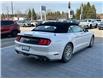 2017 Ford Mustang EcoBoost Premium (Stk: 7498T) in Mono - Image 3 of 15