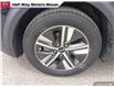 2020 Kia Niro Plug-In Hybrid EX Premium (Stk: NC5430A) in Thunder Bay - Image 6 of 25