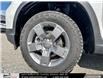 2025 Honda Ridgeline TrailSport (Stk: 2501477) in North York - Image 10 of 29