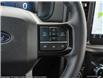 2025 Ford F-150 Platinum (Stk: S-880) in Calgary - Image 12 of 21