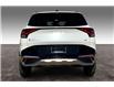 2025 Kia Sportage EX Premium w/Black Interior (Stk: SSP6043) in Sherwood Park - Image 4 of 15