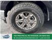 2021 Ford F-150  (Stk: TL49738) in Windsor - Image 2 of 37