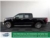 2021 Ford F-150  (Stk: TL49738) in Windsor - Image 4 of 37