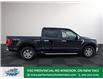 2021 Ford F-150  (Stk: TL49738) in Windsor - Image 9 of 37