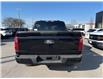 2025 Ford F-150 XLT (Stk: VF1F00763) in Chatham - Image 3 of 18