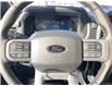 2025 Ford F-150 XLT (Stk: VF1F00763) in Chatham - Image 13 of 18