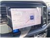 2025 Ford F-150 XLT (Stk: VF1F00763) in Chatham - Image 16 of 18