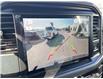 2025 Ford F-150 XLT (Stk: VF1F00763) in Chatham - Image 17 of 18