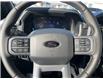2025 Ford F-150 XLT (Stk: VF1F00726) in Chatham - Image 15 of 22