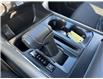 2025 Ford F-150 XLT (Stk: VF1F00726) in Chatham - Image 16 of 22