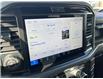 2025 Ford F-150 XLT (Stk: VF1F00726) in Chatham - Image 18 of 22