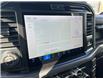 2025 Ford F-150 XLT (Stk: VF1F00726) in Chatham - Image 20 of 22