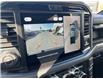 2025 Ford F-150 XLT (Stk: VF1F00726) in Chatham - Image 21 of 22
