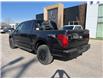 2025 Ford F-150 XLT (Stk: VF1F00817) in Chatham - Image 2 of 18