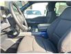 2025 Ford F-150 XLT (Stk: VF1F00817) in Chatham - Image 10 of 18