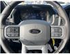 2025 Ford F-150 XLT (Stk: VF1F00817) in Chatham - Image 13 of 18