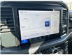 2025 Ford F-150 XLT (Stk: VF1F00817) in Chatham - Image 16 of 18