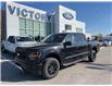 2025 Ford F-150 XLT (Stk: VF1F00817) in Chatham - Image 18 of 18