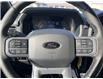 2025 Ford F-150 XLT (Stk: VF1F00819) in Chatham - Image 14 of 19