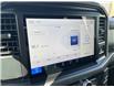 2025 Ford F-150 XLT (Stk: VF1F00819) in Chatham - Image 17 of 19