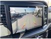 2025 Ford F-150 XLT (Stk: VF1F00819) in Chatham - Image 18 of 19