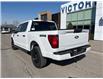 2025 Ford F-150 STX (Stk: VF1F00827) in Chatham - Image 2 of 20