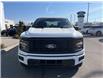 2025 Ford F-150 STX (Stk: VF1F00827) in Chatham - Image 6 of 20