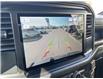 2025 Ford F-150 STX (Stk: VF1F00827) in Chatham - Image 18 of 20