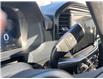 2025 Ford F-150 STX (Stk: VF1F00827) in Chatham - Image 19 of 20