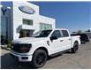 2025 Ford F-150 STX (Stk: VF1F00827) in Chatham - Image 20 of 20