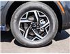 2025 Kia Sportage LX (Stk: LKSP00304) in Chatham - Image 8 of 24