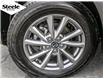 2025 Mazda CX-5 GS (Stk: PA8625) in Dartmouth - Image 7 of 28