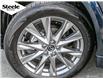 2025 Mazda CX-5 GT (Stk: PA8245) in Dartmouth - Image 7 of 30