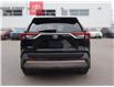 2023 Toyota RAV4 Hybrid Limited (Stk: 19-32273A) in Ottawa - Image 13 of 21