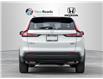 2023 Honda CR-V Sport (Stk: 25-3164A) in Newmarket - Image 7 of 24