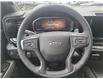 2025 Chevrolet Silverado 1500 ZR2 (Stk: G308720) in Newmarket - Image 13 of 20