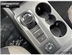 2025 Ford Bronco Sport Big Bend (Stk: 5BR8742) in Brantford - Image 16 of 23