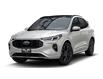 2025 Ford Escape ST-Line Elite (Stk: ES2530) in Harrow - Image 13 of 19