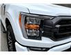 2023 Ford F-150 XLT (Stk: 1328BTNA) in Owen Sound - Image 30 of 33