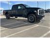 2025 Ford F-350 Platinum (Stk: 25156) in High River - Image 7 of 24