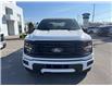2025 Ford F-150 XLT (Stk: VF1F00819) in Chatham - Image 6 of 19