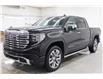 2025 GMC Sierra 1500 Denali (Stk: S1431) in Watrous - Image 4 of 47