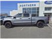 2021 Chevrolet Silverado 1500 LT Trail Boss (Stk: 25028A) in Espanola - Image 2 of 16