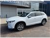 2022 Mazda CX-9 Signature (Stk: 24388) in Pembroke - Image 8 of 43